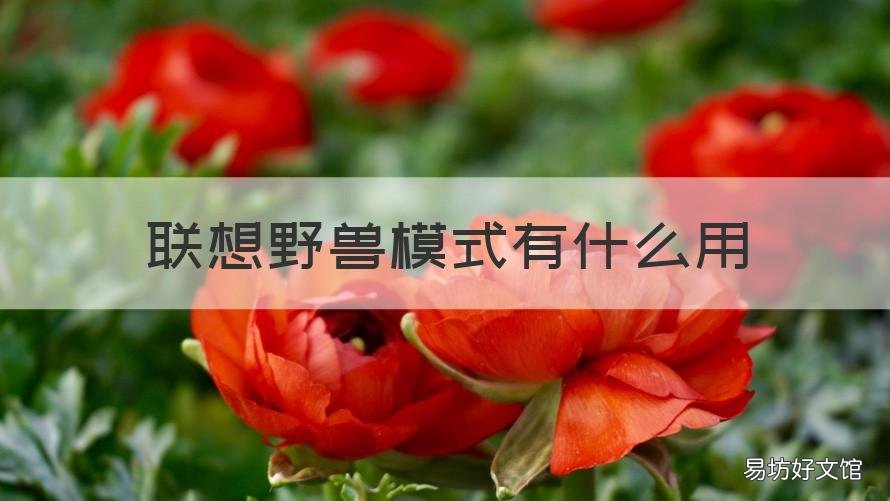 联想野兽模式有什么用 联想野兽模式怎么用