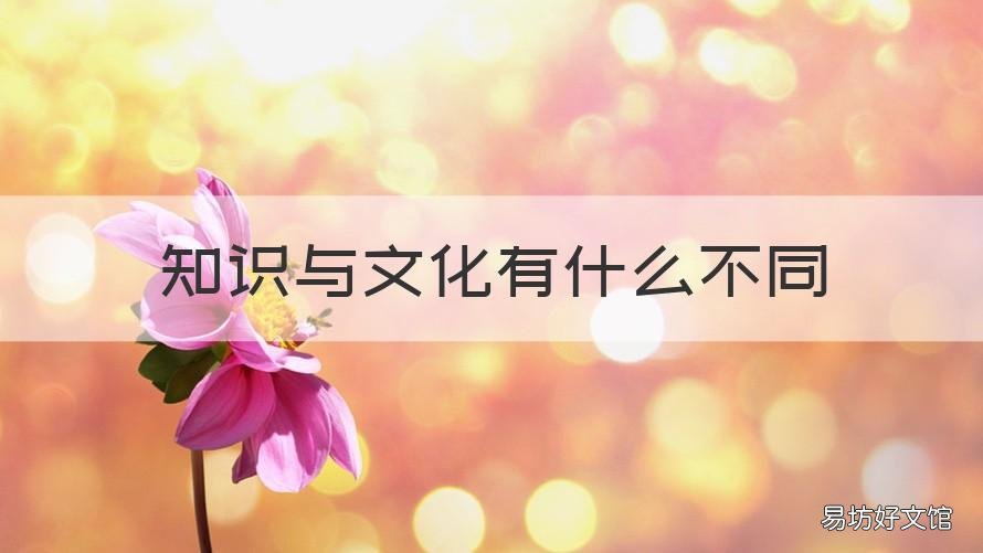 知识与文化有什么不同