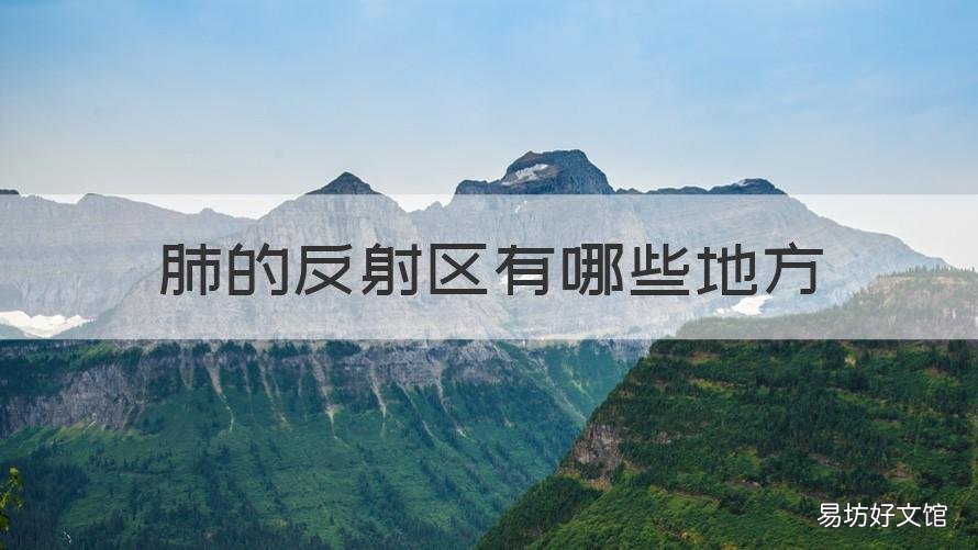 肺的反射区有哪些地方 肺部反射区在什么位置
