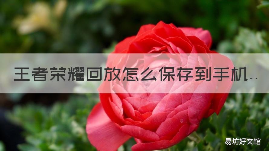 王者荣耀回放怎么保存到手机 王者荣耀回放怎么保存到手机上