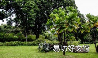 五树进宅指的是哪五种树 五树进阳宅,人穷家也败,指的是哪五种树
