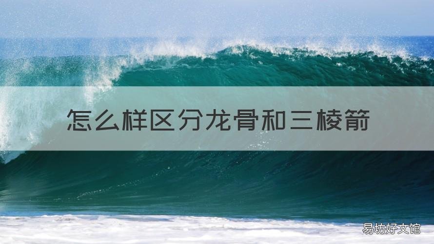 怎么样区分龙骨和三棱箭 三棱龙骨好还是四棱龙骨好