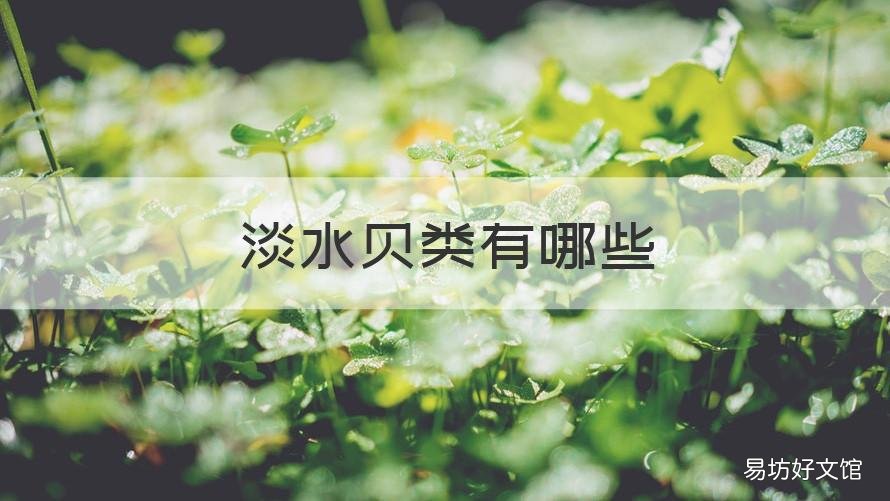 淡水贝类有哪些 淡水贝类的贝壳种类大全