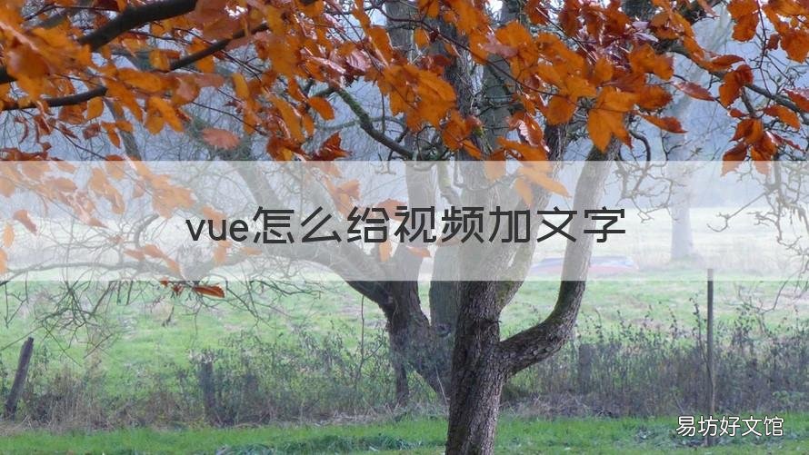 vue怎么给视频加文字 vue如何给视频配音