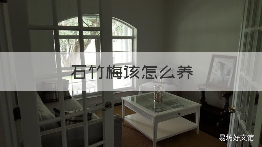 石竹梅该怎么养 石竹梅怎么水养