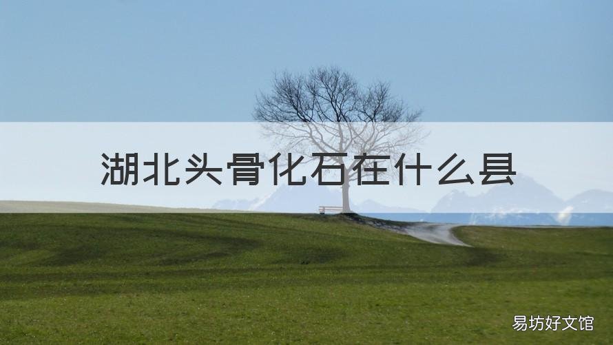 湖北头骨化石在什么县 县人头骨化石 湖北