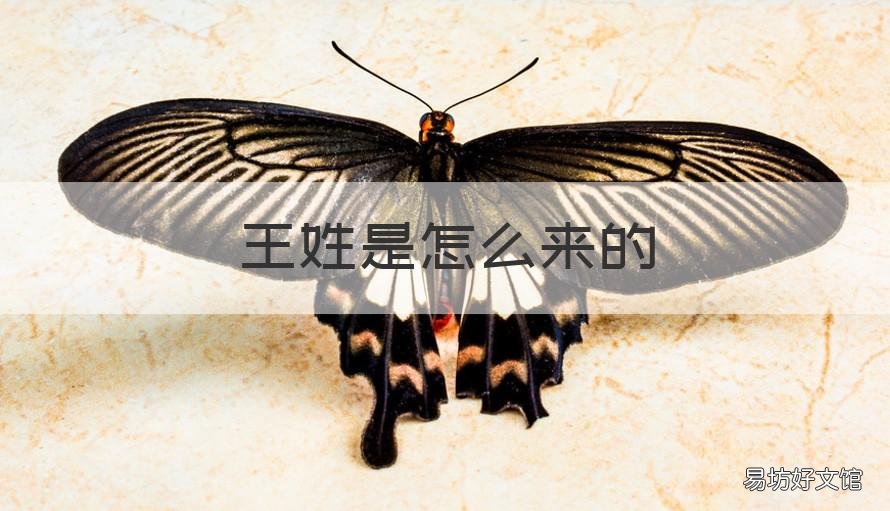 王姓是怎么来的 王姓是怎么来的来源20字