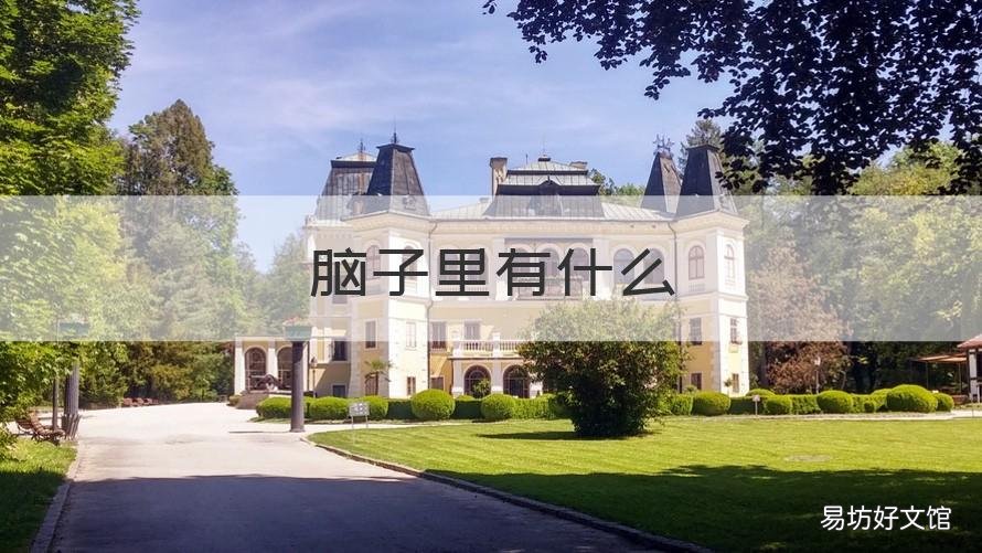 脑子里有什么 脑子里有什么看到的就是什么