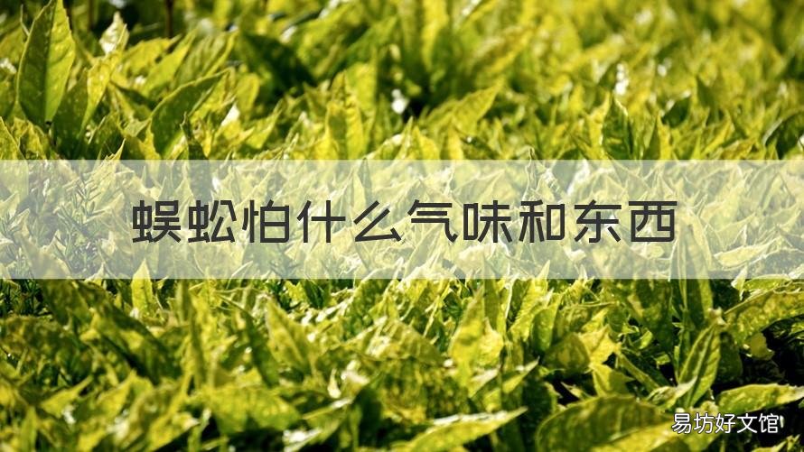 蜈蚣怕什么气味和东西 蜈蚣最怕什么气味