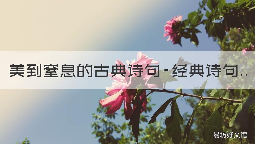 美到窒息的古典诗句-经典诗句 美到窒息的古典诗长篇