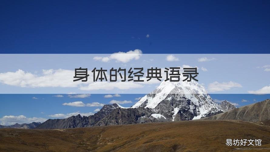 身体的经典语录 身体最重要的经典语录