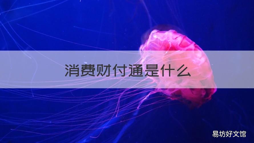 消费财付通是什么
