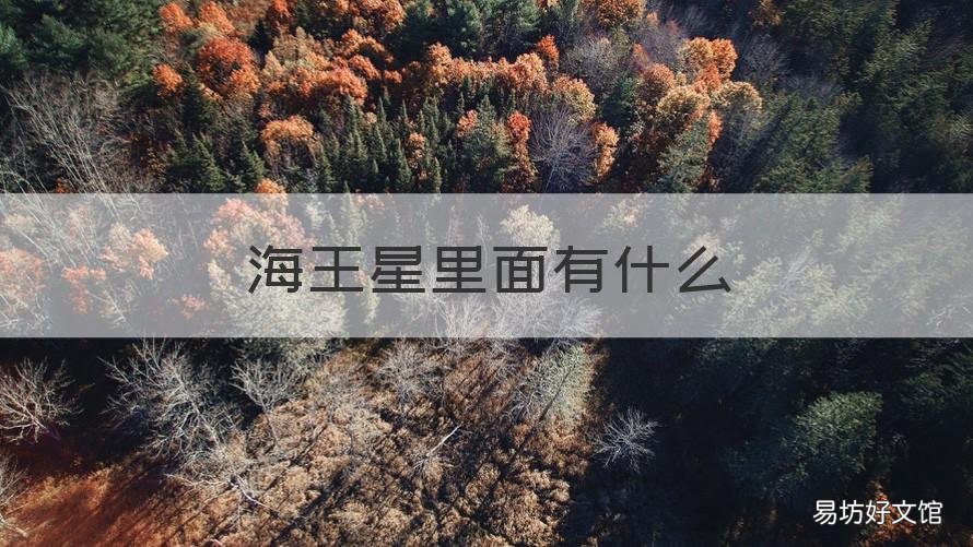 海王星里面有什么 海王星里面有什么如果进入王者荣耀