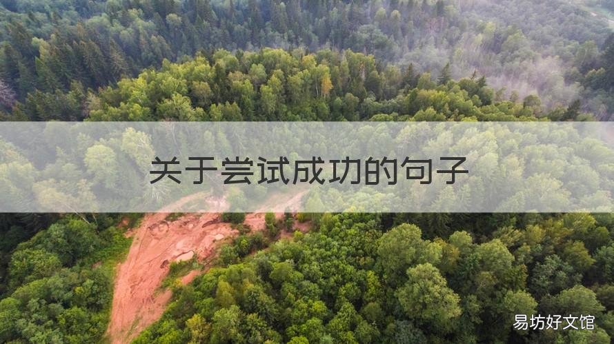 关于尝试成功的句子 关于尝试成功的句子英语