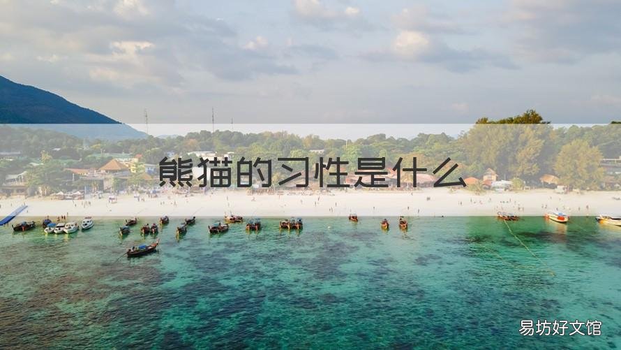 熊猫的习性是什么
