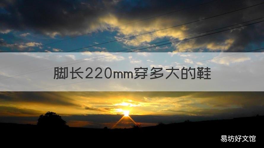 脚长220mm穿多大的鞋 脚长220cm穿多大的鞋