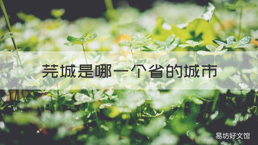 芫城是哪一个省的城市 垶城是哪个省的城市