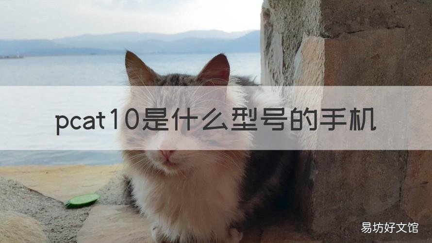 pcat10是什么型号的手机