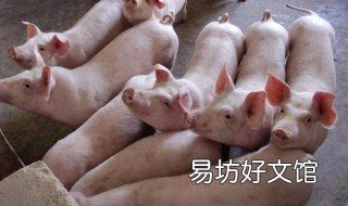 草木灰喂猪怎么个喂法 草木灰加在猪饲料喂猪可以吗