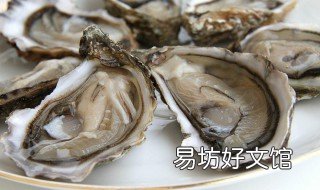 煎生蚝的做法 煎生蚝的做法大全家常