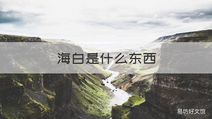 海白是什么东西 海白有几种