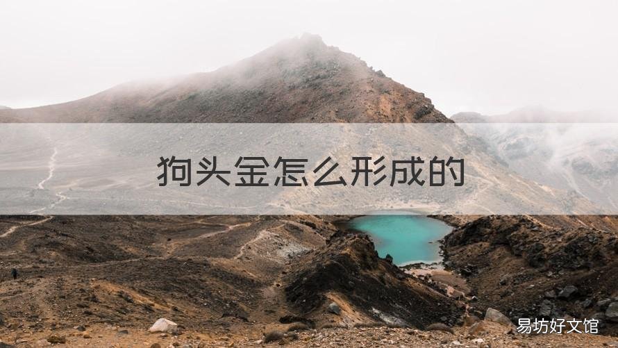 狗头金怎么形成的 狗头金是怎么形成的?
