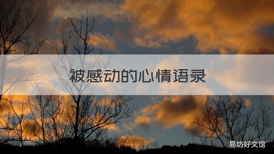 被感动的心情语录 瞬间心被感动的句子