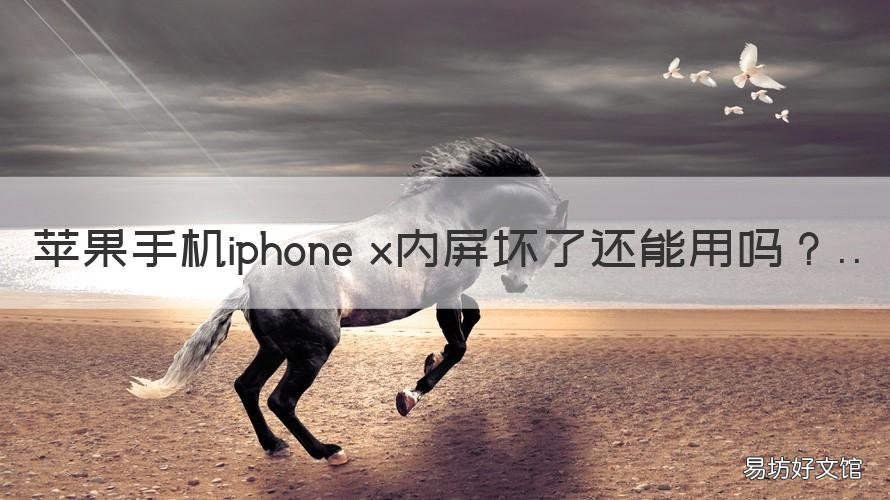 苹果手机iphone x内屏坏了还能用吗 iPhone X内屏坏了