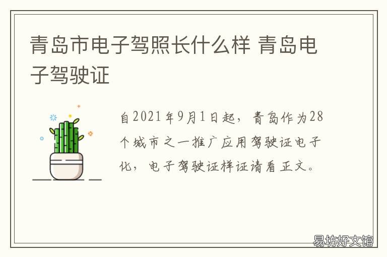 青岛市电子驾照长什么样 青岛地区电子驾照