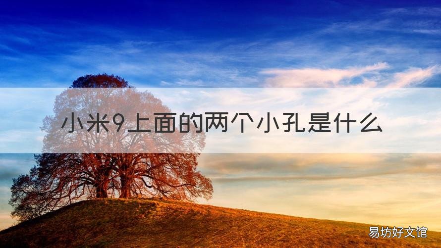 小米9上面的两个小孔是什么 小米9顶部的二个小孔是什么