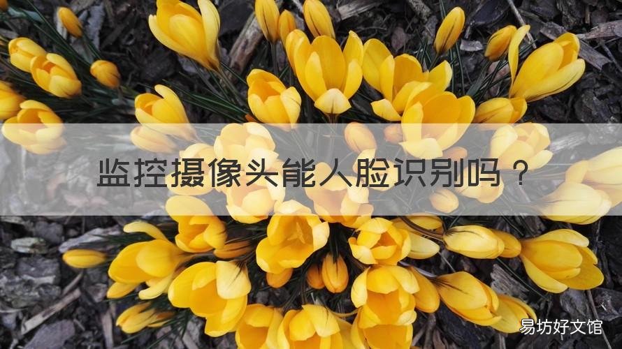 监控摄像头能人脸识别吗 监控摄像头可以人脸识别吗