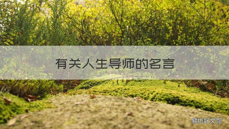 有关人生导师的名言 好的导师的名言佳句