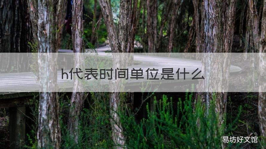 h代表时间单位是什么 h代表时间单位是什么意思