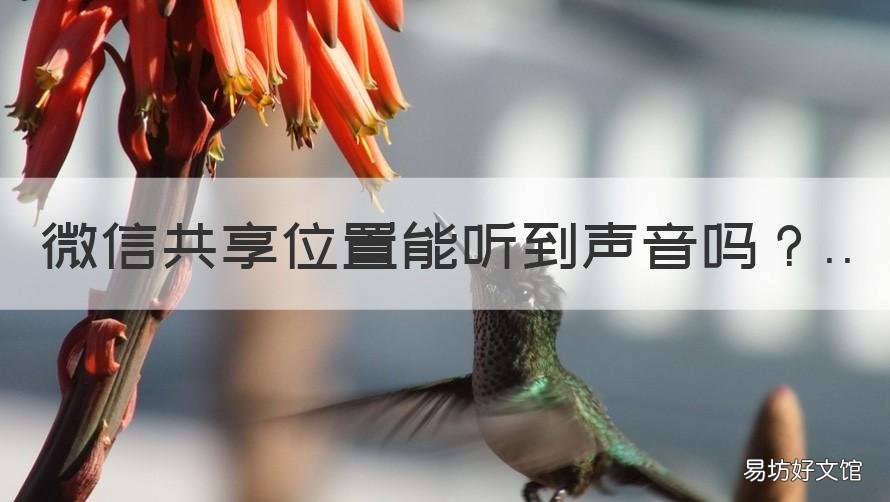 微信共享位置能听到声音吗 微信实时共享位置可以听到声音吗