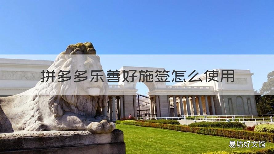 拼多多乐善好施签怎么使用