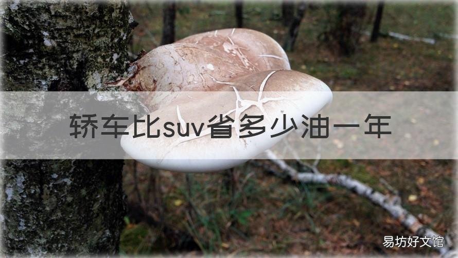 轿车比suv省多少油一年 轿车和suv哪个更省油,能差多少油耗