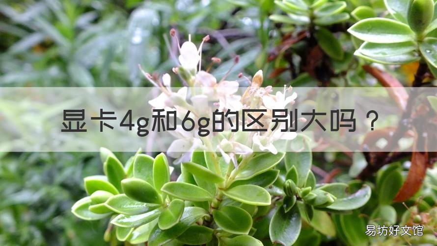 显卡4g和6g的区别大吗 4g与6g显卡的区别