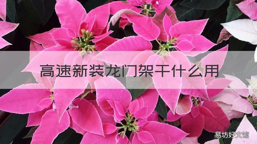 高速新装龙门架干什么用 高速路龙门架干啥用