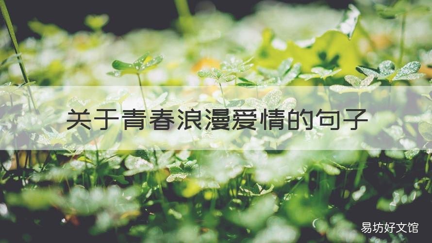 关于青春浪漫爱情的句子 关于青春浪漫爱情的句子唯美