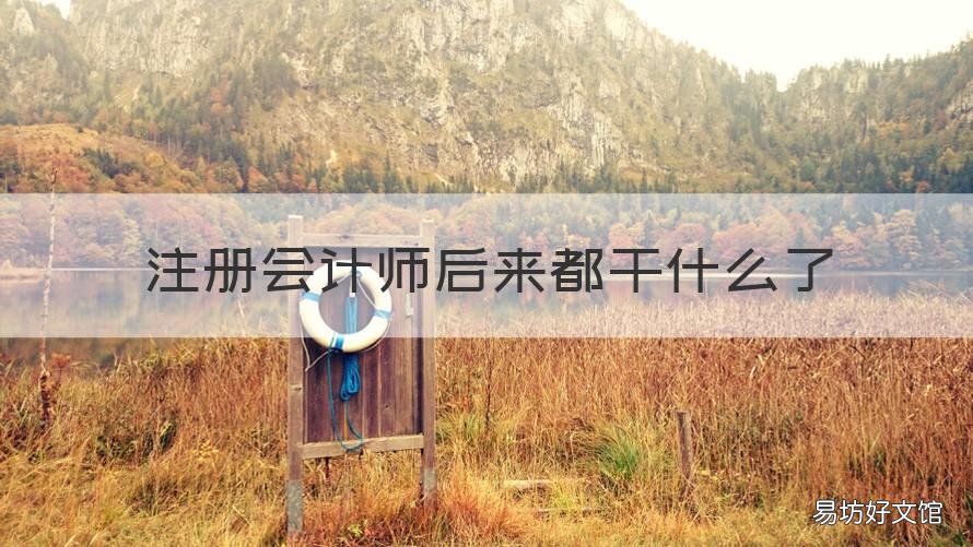 注册会计师后来都干什么了 注册会计师是干嘛的呀