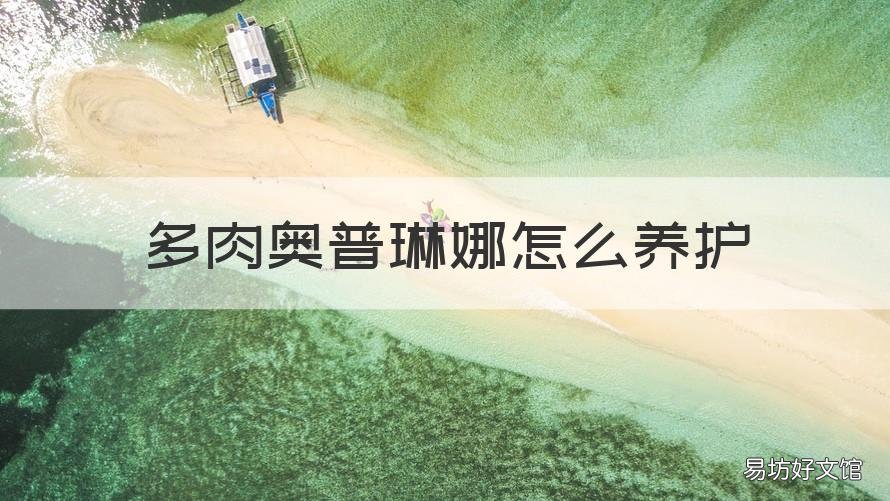多肉奥普琳娜怎么养护 多肉奥普琳娜怎么养护好