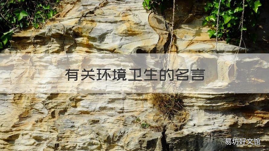 有关环境卫生的名言 关于卫生环境的名言