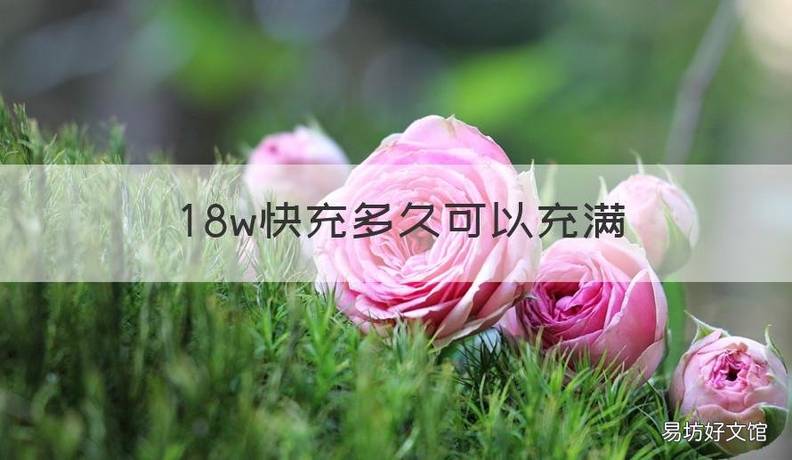 18w快充多久可以充满 18w快充多久可以充满4000毫安时