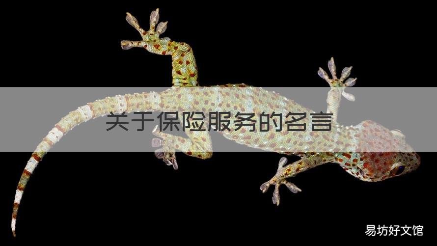 关于保险服务的名言 保险服务的句子