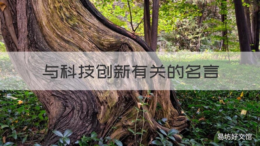 与科技创新有关的名言 与科技创新有关的名言有哪些