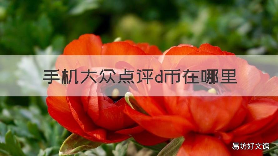 手机大众点评d币在哪里 手机大众点评d币在哪里兑换