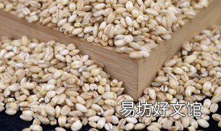 青稞米的吃法 青稞米的吃法青稞可以与肉类搭配吗