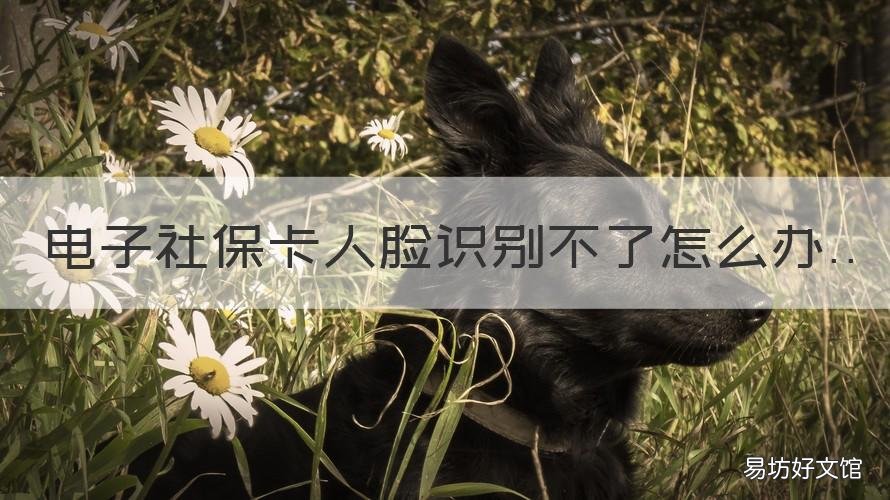 电子社保卡人脸识别不了怎么办 社保电子卡为什么人脸识别不了