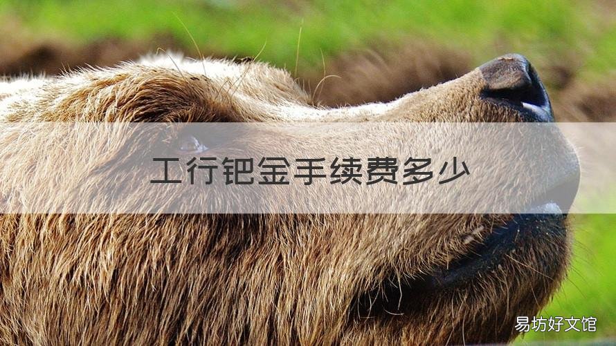 工行钯金手续费多少 工行钯金交易