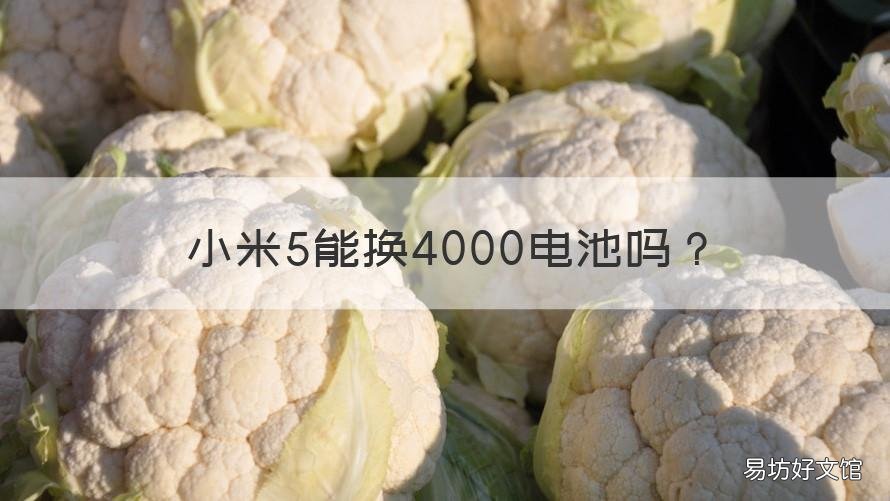 小米5能换4000电池吗 小米5x成功换了4100毫安电池